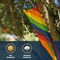 Spiral Rainbow 60 Inch Windsock by Madrona Brands | Durable Outdoor Hanging Decoration | Yard, Porch, Deck, Patio